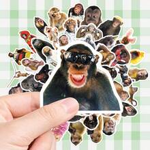 50Pcs Humorous Monkey Decorative Stickers, Funny Meme Animal Graphic Decals, Waterproof Stickers For Journal, Skateboard, DIY Projects - Multicolor - View 8