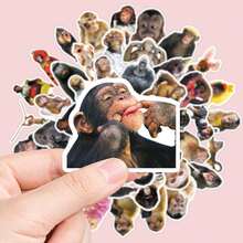 50Pcs Humorous Monkey Decorative Stickers, Funny Meme Animal Graphic Decals, Waterproof Stickers For Journal, Skateboard, DIY Projects - Multicolor - View 2