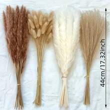 110/220/330/440pcs Dried Pampas Grass Decor Pampas Grass Contains Bunny Tails Dried Flowers, Reed Grass Bouquet For Wedding Boho Flowers Home Table Decor, Rustic Farmhouse Party (17", White And Brown) - Multicolor - View 2