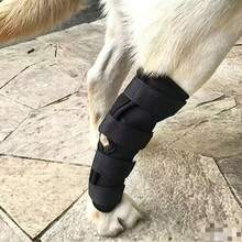 2pcs Pet Post-Surgery Recovery Knee Support Brace, Dog Outdoor Knee Protection Sleeve, Pet Joint Protection Sleeve, Cat And Dog Universal Protection Sleeve - View 9
