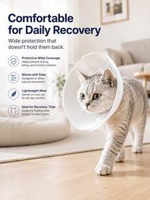 1 Piece Of 3D Printed Adjustable Protective Pet Rehabilitation Collar, Suitable For Cats And Small Dogs, Lightweight Anti-Licking Collar, Comfortable Recovery Protection, Suitable For Grooming, Wound Care, And Daily Pet Protection - Multicolor - View 5