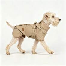 1pc Temperature-Locking Flocked Pet Winter Coat, Suitable For Small Dogs And Cats - Multicolor - View 9