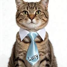 Personalized Dog Name Tie & Tuxedo Bow Collar, Custom Printed Pet Wedding Necktie For Halloween & Christmas, Gift For Dog Lovers - Multicolor - View 4