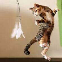 Cat Teaser Stick Interactive Bell Feather Cat Toy Long Pole Suction Cup Style Stimulating Play Adventure Ultimate Cat Toy Suction Cup Cat Teaser Stick Interactive Feather Cat Toy Steel Wire Suction Cup Feather Cat Toy Bell Cat Teaser Stick - View 5