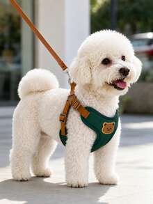 This Breathable And Comfortable Pet Leash Set Is Green With A Cute Teddy Bear Print. Designed Specifically For Small Teddy Dogs During Outdoor Walks, It Can Be Paired With A Pet Collar. - Green - View 8