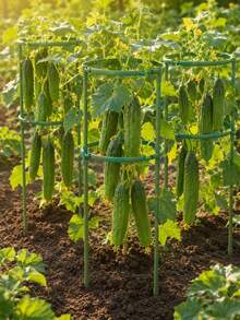 12pcs Half-Round Plant Support Stakes, Adjustable Plant Support Cage, Suitable For Tomatoes, Cucumbers And Climbing Vegetables, Ideal For Garden And Greenhouse, Perfect Gift For Gardening Enthusiasts, 1/3/6/9/12pcs - Multicolor - View 6