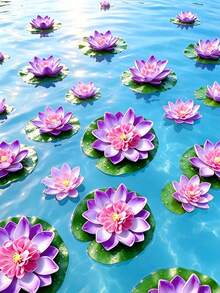 Morado