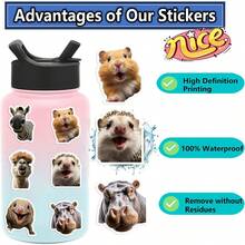 50pcs Funny Animal Face Decorative Stickers For Adults And Teens, Suitable For Skateboard, Phone Case, Laptop, Refrigerator, Luggage, Bedroom Door, Tablet, Diary, Study Reward Gift Stickers - Multicolor - View 1