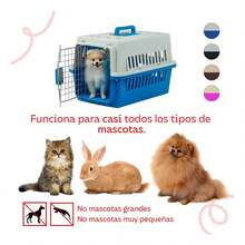 Pet Hard-Sided Carriers - White - View 3