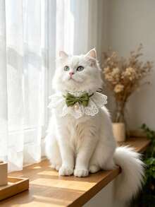 1pc Pet Bow Collar, Detachable Floral Pattern Bow With Bell, Cute Cat Accessory, Suitable For Indoor Cats, Kittens, Small Dogs And Puppies, Pet Clothing Accessory, Christmas Halloween Party Outfit, Ideal Gift For Pet Lovers - Multicolor - View 5