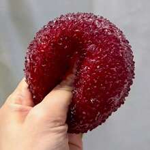 1個 Slushy Bayberry 壓力玩具 可塑形不回彈指尖玩具 ASMR 捏捏球 成人舒壓，觸感極其柔軟絲滑，能有效緩解壓力，柔軟有彈性，手工製作且便攜 - 查看 8