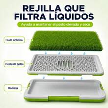 Cat Litter - g - View 8
