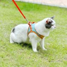 Adjustable Suede Dog Harness And Leash Set, Reflective Breathable Anti-Pull Pet Vest Harness, Escape-Proof, Suitable For Small Dogs, Medium Dogs And Cats, For Night Walks - Multicolor - View 4