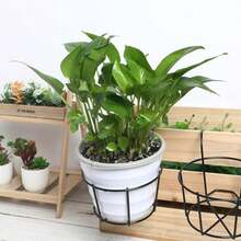 7Pcs Fashion Round Metal Hanging Planters - Perfect For Balcony, Garden, And Indoor Decor, Grow Succulents And Greenery On Hanging Racks - Recolor - View 8
