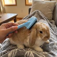 1PC Small‑Pet Slicker Grooming Pin Brush, Gentle Pet Rabbit Comb For Loose Fur Removal & Deep Skin Massage, Ergonomic Hand‑Held Grooming Tool For Kitten Puppy Rabbit Guinea Pig Ferret Small Animal Hair Care Accessories - View 3
