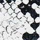 Black and White Star Ring Snakeskin