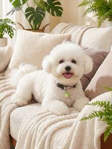 彩色花卉寵物項圈，附綠色鈴鐺與花朵吊飾，適合貓狗，Happy Little Dog 寵物配件，適用小型至中型貓狗，四季可穿戴，適合室內或戶外玩耍 - 彩色 - 查看 5