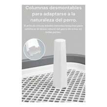 Cat Litter - g - View 7