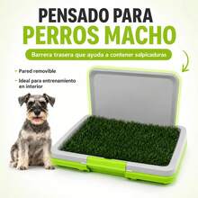 Cat Litter - g - View 2
