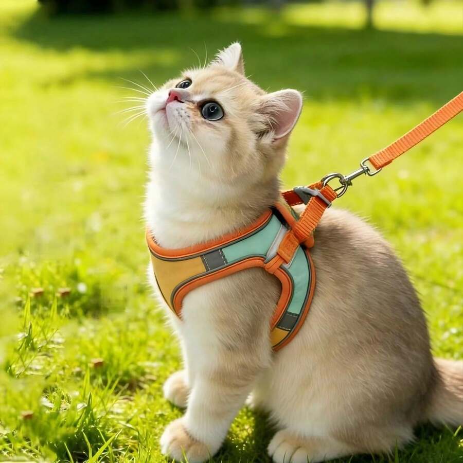 Adjustable Suede Dog Harness And Leash Set, Reflective Breathable Anti-Pull Pet Vest Harness, Escape-Proof, Suitable For Small Dogs, Medium Dogs And Cats, For Night Walks - Multicolor - View 1