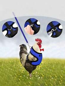 New Design Poultry Harness With Leash For Goose Chicken And Duck, Comfortable, Breathable And Adjustable. 1pc Harness+1pc Leash - Blue - View 5