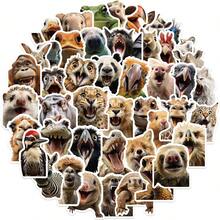 50pcs Funny Animal Face Decorative Stickers For Adults And Teens, Suitable For Skateboard, Phone Case, Laptop, Refrigerator, Luggage, Bedroom Door, Tablet, Diary, Study Reward Gift Stickers - Multicolor - View 12