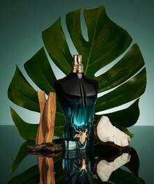 Jean Paul Gaultier Perfume - Woody & Earthy - View 4