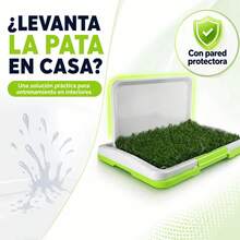 Cat Litter - g - View 5