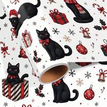 A Black Cat
