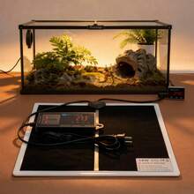 Terrariums - Apricot - View 1