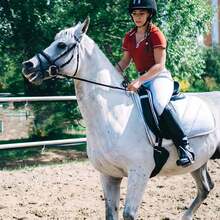 Equestrian Equipment - Horse Whip. This Riding Whip Is Suitable For Equestrian Sports And Used For Horses. - Multicolor - View 2