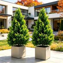 2pcs Realistic Artificial Pine Trees, Versatile Indoor & Outdoor Decorative Greenery, Natural Branch Shape With Vibrant Green Needles, Evergreen & Maintenance-Free, No Pot Included, Suitable For Outdoor Yard, Garden, Patio, Front Porch Path, Poolside, Indoor Living Room, Dining Table, Halloween, Thanksgiving, Christmas, Wedding, Party And Year-Round Atmosphere Decor - Green - View 2