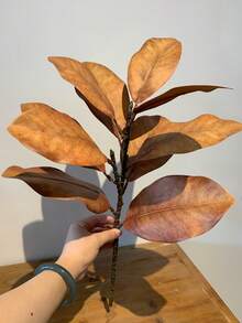 1件人造葉片植物裝飾，適用於居家、辦公桌，情人節禮物 - 彩色 - 查看 9