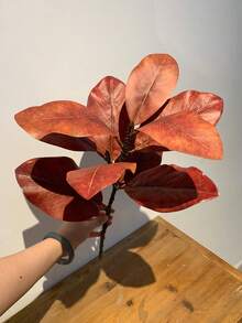 1件人造葉片植物裝飾，適用於居家、辦公桌，情人節禮物 - 彩色 - 查看 11