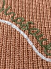 Boys Cute Embroidered Dinosaur English Letter Crew Neck Sweater Long Sleeve Knit Pullover Suitable For Daily Casual Spring Autumn Winter - Brown - View 5