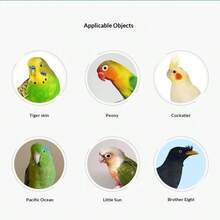 1pc/1set Bird Toy Balance Bike Training Set Parrot Bird Toy Balance Bike Small To Medium Bird Supplies Roller Skill Training Prop Cockatiel Bird Toy Holiday Gift - View 6