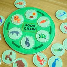 This Life Cycle Toy Includes 40 Food Chain Survival Rule Cards And 8 Double-Sided Cognitive Cards, Providing Fun And Educational Learning. It's A Great Back-To-School Gift For Students. - Lifecycle Toys - View 2
