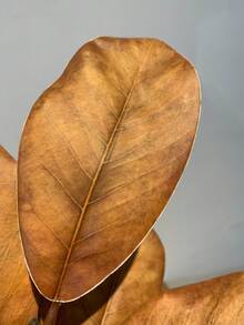 1件人造葉片植物裝飾，適用於居家、辦公桌，情人節禮物 - 彩色 - 查看 4