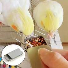 1pc/1set Bird Toy Balance Bike Training Set Parrot Bird Toy Balance Bike Small To Medium Bird Supplies Roller Skill Training Prop Cockatiel Bird Toy Holiday Gift - View 8