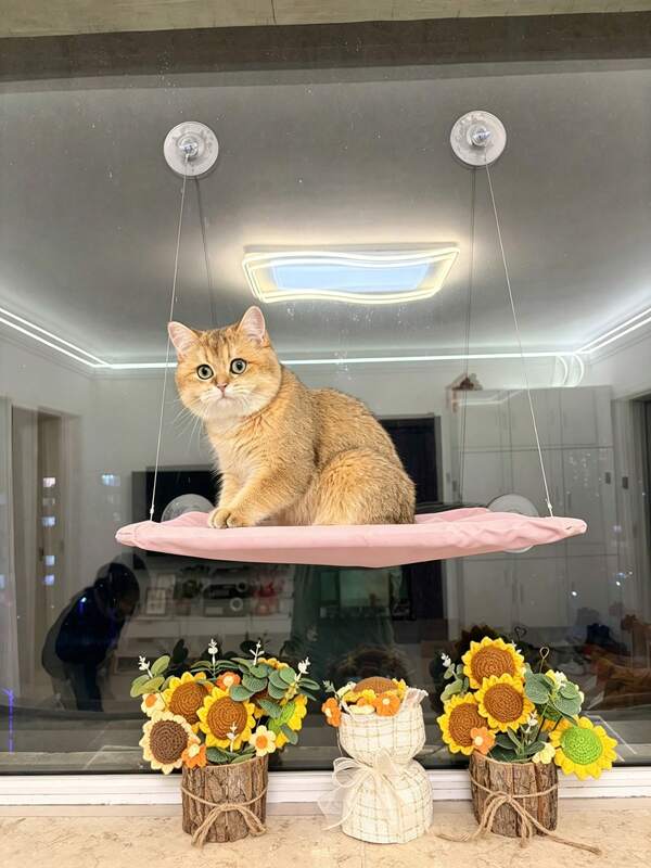 Cat Hammock, Comfortable Window Cat Hammock, Cat Bed, Cat Accessories, Cat Supplies, Easily Installable On Window Glass, Providing A Relaxing Place For Your Cat Friends, Suitable For Cats Up To 15kg