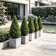 2pcs Realistic Artificial Pine Trees, Versatile Indoor & Outdoor Decorative Greenery, Natural Branch Shape With Vibrant Green Needles, Evergreen & Maintenance-Free, No Pot Included, Suitable For Outdoor Yard, Garden, Patio, Front Porch Path, Poolside, Indoor Living Room, Dining Table, Halloween, Thanksgiving, Christmas, Wedding, Party And Year-Round Atmosphere Decor - Green - View 10