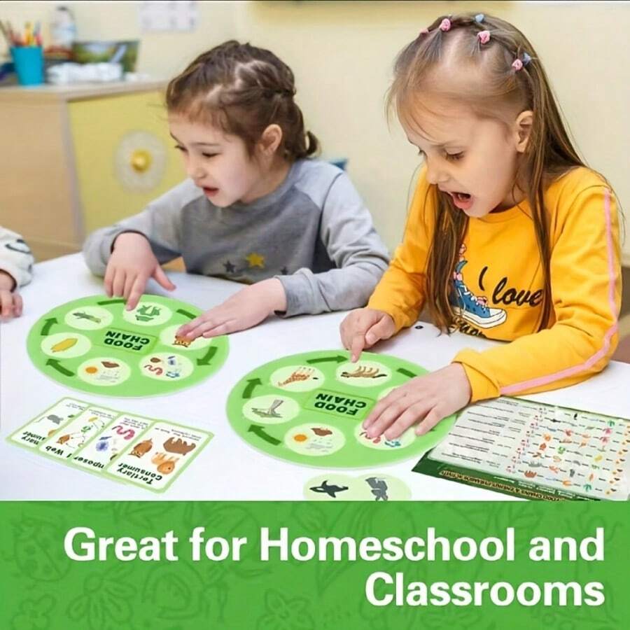 This Life Cycle Toy Includes 40 Food Chain Survival Rule Cards And 8 Double-Sided Cognitive Cards, Providing Fun And Educational Learning. It's A Great Back-To-School Gift For Students. - Lifecycle Toys - View 1