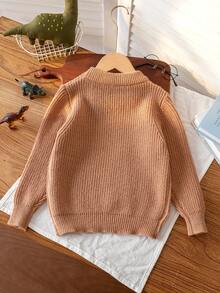 Boys Cute Embroidered Dinosaur English Letter Crew Neck Sweater Long Sleeve Knit Pullover Suitable For Daily Casual Spring Autumn Winter - Brown - View 2