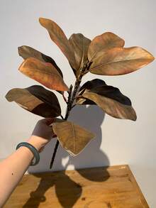 1件人造葉片植物裝飾，適用於居家、辦公桌，情人節禮物 - 彩色 - 查看 6