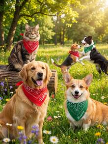 Personalized Embroidered Bandana Scarf - Western Country Style, Customized Name Gift, Suitable For Women And Their Pets, Dog And Cat Bandana - Multicolor - View 4