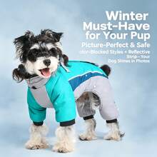 Dog Outdoor Warm Four-Leg Jacket Windproof Snow Coat With Reflective Strip Adjustable Design And Leash Ring, Suitable For Small To Medium Dogs For Walking And Outings Pet Clothing - Cadet Blue - View 8