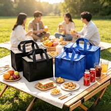 1pc Outdoor Picnic Foldable Insulated Tote Bag, Can Hold Cola And Beer, Keeps Warm, Lunch Box Storage Bag, Essential For Outdoor Picnic And Daily Storage - Portable Square - View 4