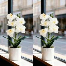 1pc Artificial Phalaenopsis Orchid Potted Plant - White - View 15