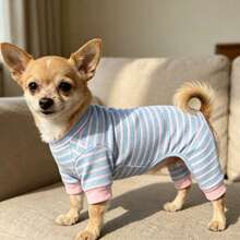 1件新款寵物服裝 小型犬四足套裝 適合泰迪犬 比熊犬 博美犬 貓咪 戶外室內休閒舒適透氣 防塵睡衣 春秋冬穿著 - 淺藍色 - 查看 14