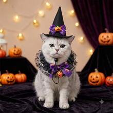 1set-Pet Halloween Witch Hat & Lace Collar Set, Adjustable Comfort Fit, Pumpkin Bell Design, For Halloween Party, Trick-Or-Treat & Cute Photos, Cat Dog Costume Accessory. - Multicolor - View 4